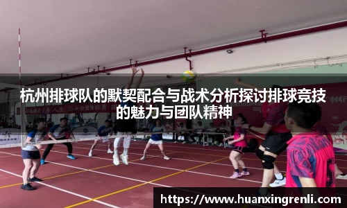 bsports官网入口