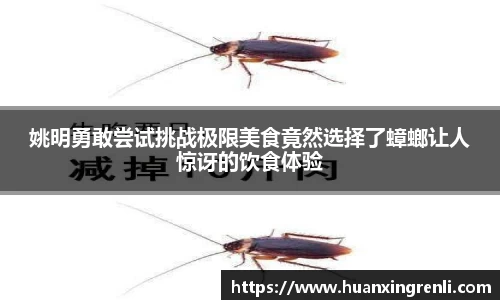 bsports官网入口