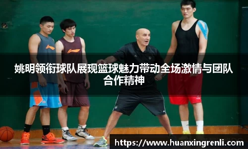 bsports登录入口