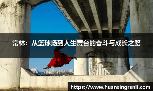 bsports官网入口