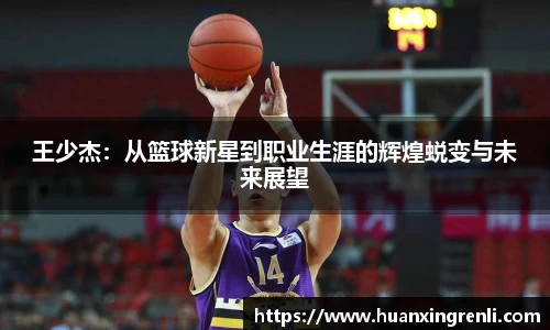 bsports登录入口