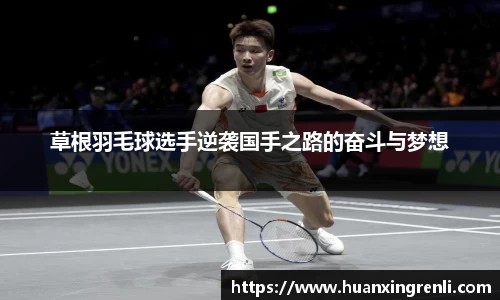 bsports官网入口