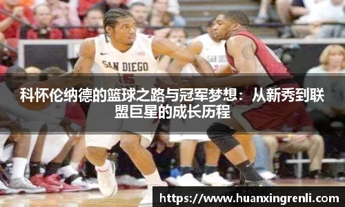 bsports登录入口