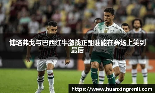 bsports登录入口
