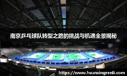 南京乒乓球队转型之路的挑战与机遇全景揭秘